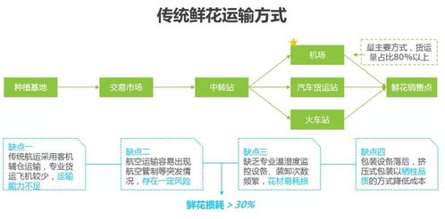 云闊鮮花電商運營大綱 供應鏈管理服務的創新與實踐